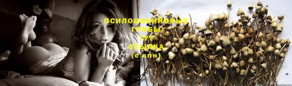 каннабис Алексин