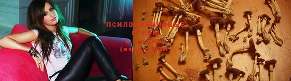 спайс Алзамай